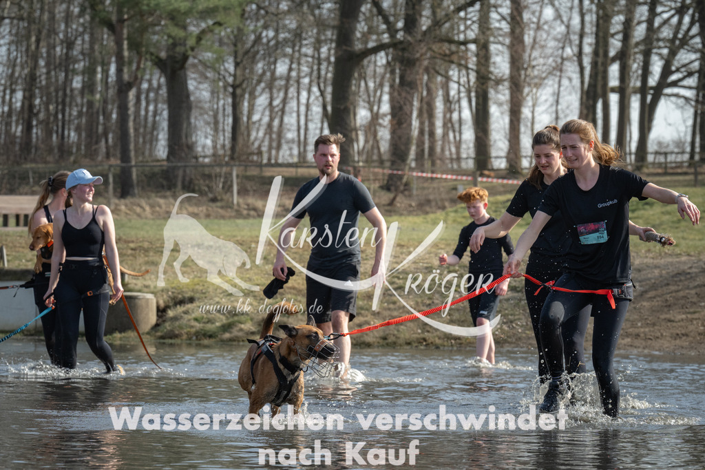 1305_ZZ94590 | kk-dogfotos