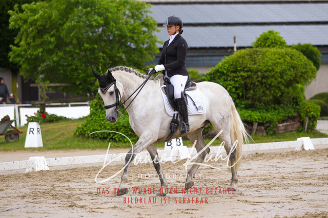 DKP40280 | Turniersportfotografie; Pferdefotografie; Dressurfotografie