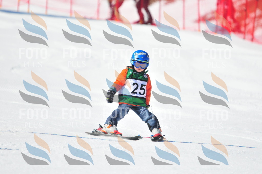 C2572 | holidayphoto