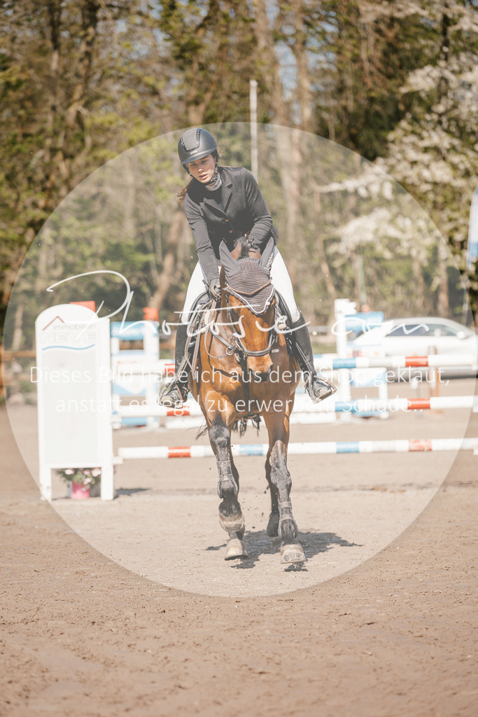 3I6A3942 | Stimmungsvolle Portraits und Reitsportfotografie im Ruhrgebiet und im Münsterland.

Pferdefotografie, Hundefotografie, Tierfotografie, Reportagen, Portraits von Tier und Mensch, Turnierfotografie in Bochum, Recklinghausen, Marl, Haltern am See, Dülmen.. - Realisiert mit Pictrs.com