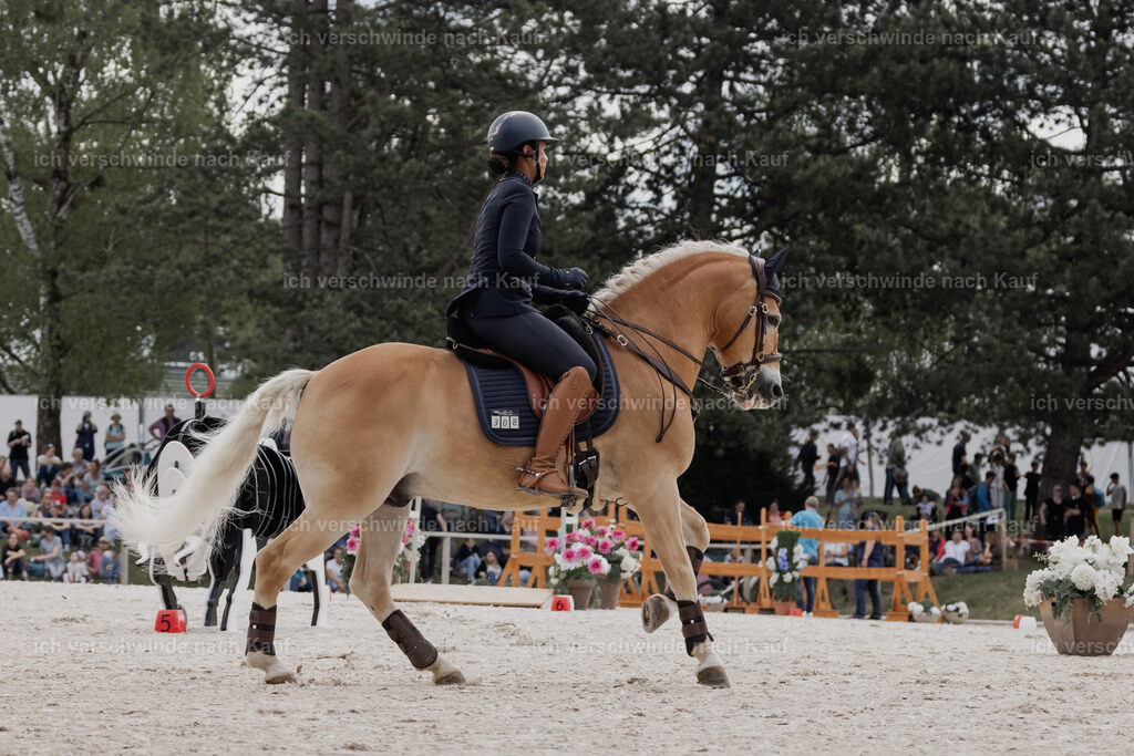 WE_ST_Stoib_308_PI2025_979 | Pferd International München 2025