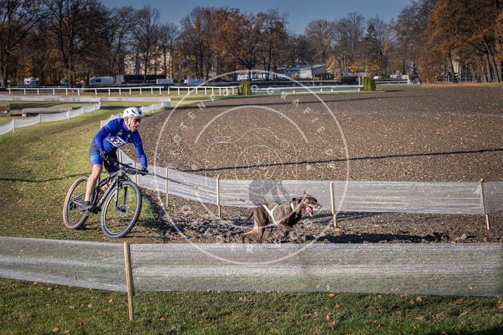 CaniXpix_DV3A3472 | Hundefotografie, Tierfotograf, Pfotenfotografie, Fotoshooting Hund, Hunde Portrait, Hundesport, Hundeportraits, Heideshooting, Hunde, Sportfotograf, Hundefotograf, Turnierhundsport, THS,  - Realisiert mit Pictrs.com