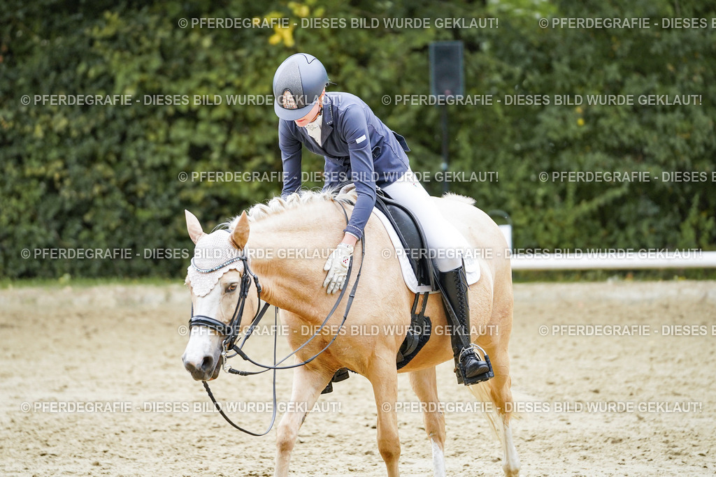 DSC07638 | Pferdegrafie