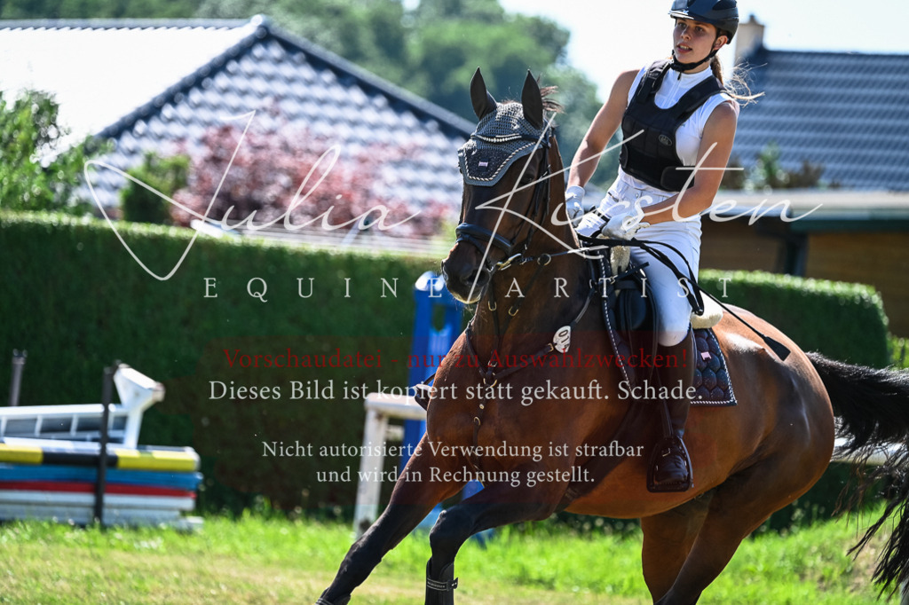 DSC_1072 | Pferde- und Turnierfotografie in Westsachsen. Pferdeportraits, Auftragszeichnungen und intuitive Kunst.