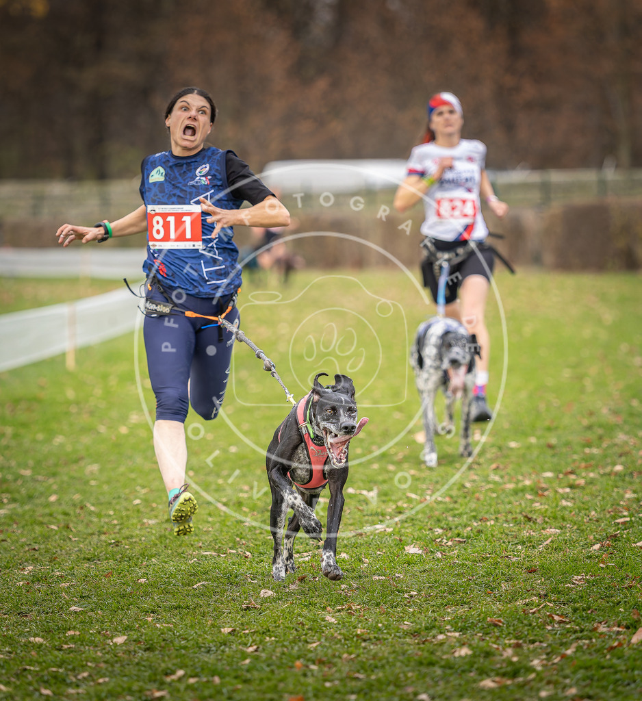 CaniXpix_DV3A6316 | Hundefotografie, Tierfotograf, Pfotenfotografie, Fotoshooting Hund, Hunde Portrait, Hundesport, Hundeportraits, Heideshooting, Hunde, Sportfotograf, Hundefotograf, Turnierhundsport, THS,  - Realisiert mit Pictrs.com