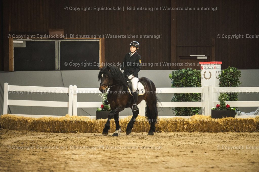 20240302_Hengstvorstellung_Marbach_TOMsPiC_0277-2 | equistock
