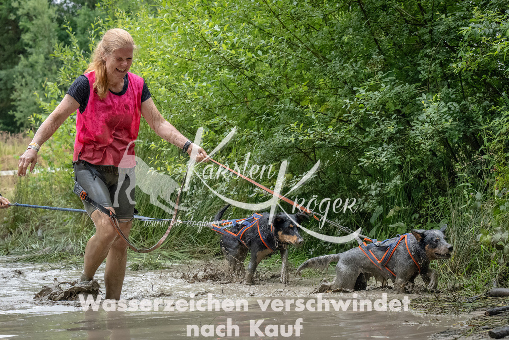 1340_ZZ91709 | kk-dogfotos