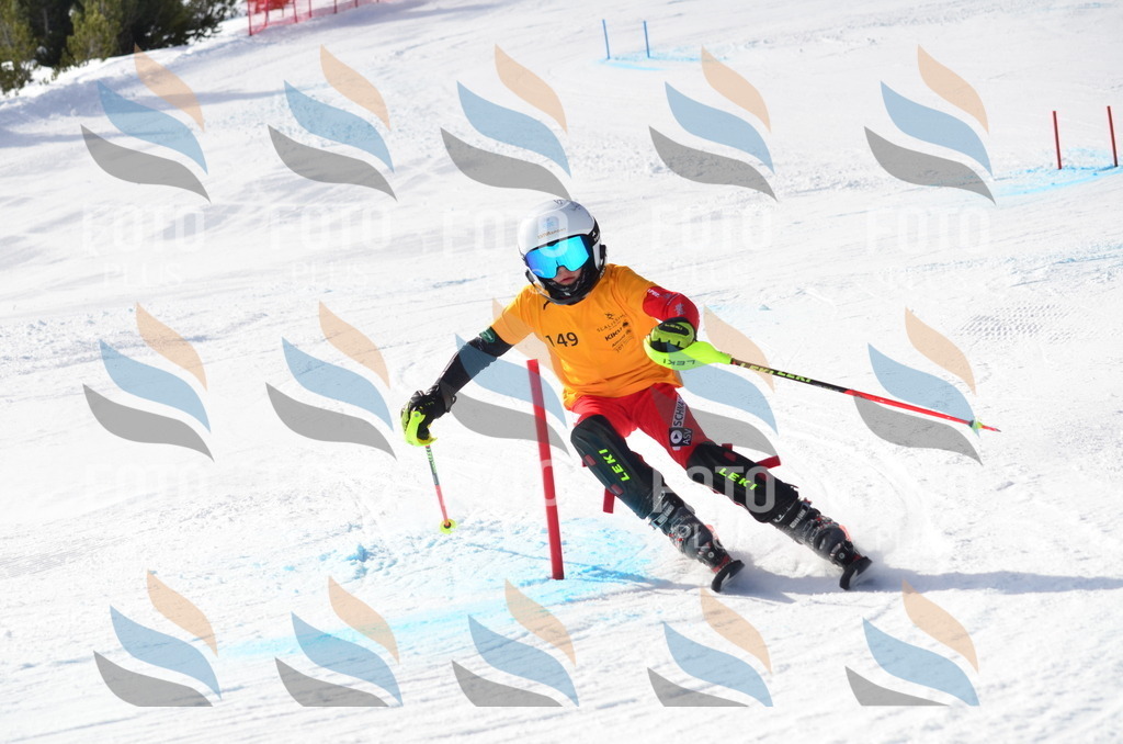 C7748 | holidayphoto