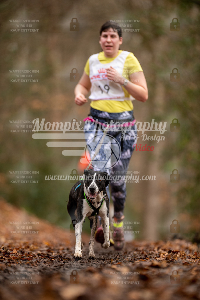 SPA_2023_DIM_CCL-103 | PayLife