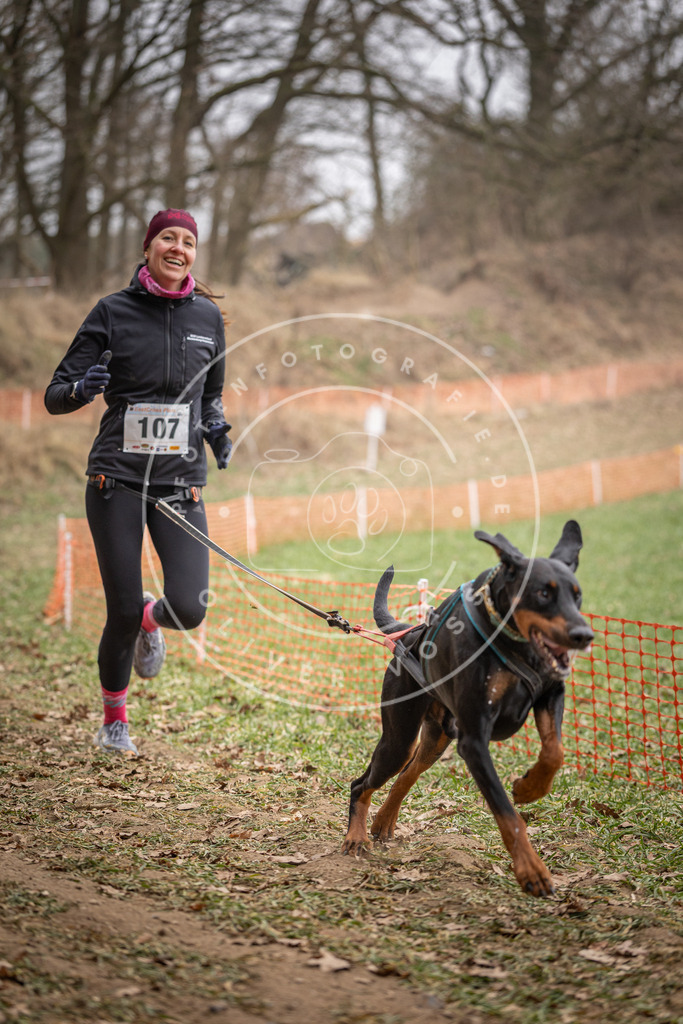 Pfotenfotografie_DV3A7513 | Hundefotografie, Tierfotograf, Pfotenfotografie, Fotoshooting Hund, Hunde Portrait, Hundesport, Hundeportraits, Heideshooting, Hunde, Sportfotograf, Hundefotograf, Turnierhundsport, THS,  - Realisiert mit Pictrs.com