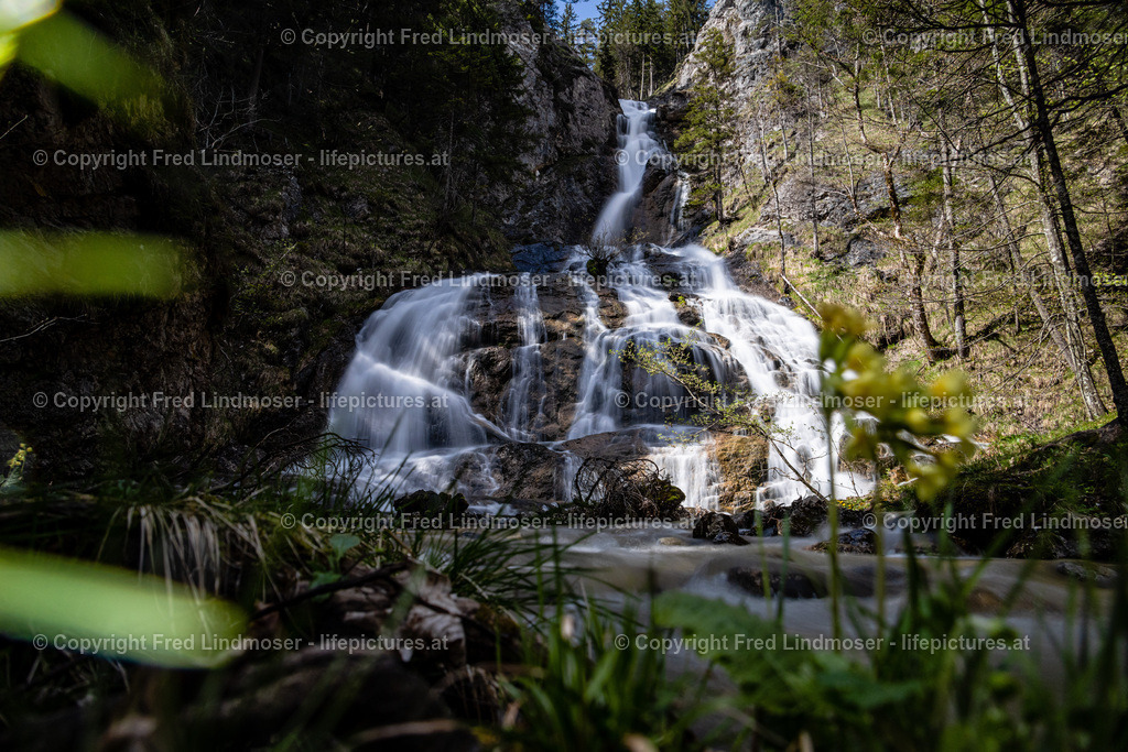 Otschergraben Schleierfall Mirafall -7195 | Fotos und Fotoprodukte - Realisiert mit Pictrs.com