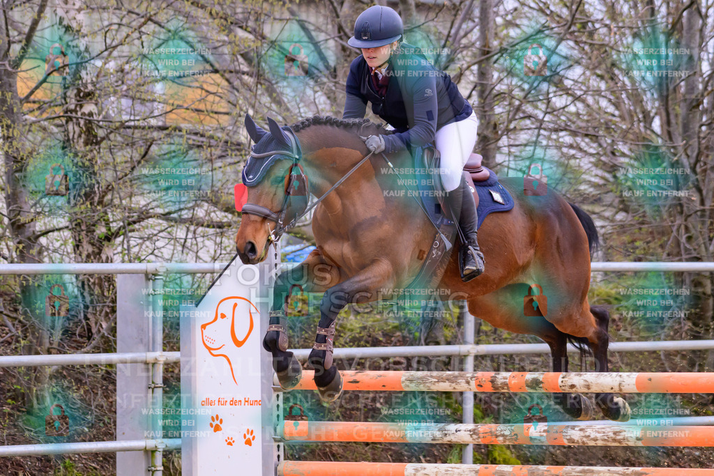 10042026-Mammendorf-Prfg17-0565 | Fokus Hufschlag Fotografie - Realisiert mit Pictrs.com