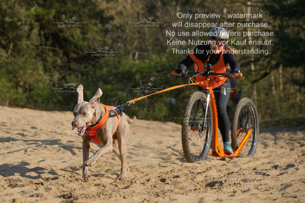 So_Scooter-279 | stephaniefillaphotographie - Realisiert mit Pictrs.com