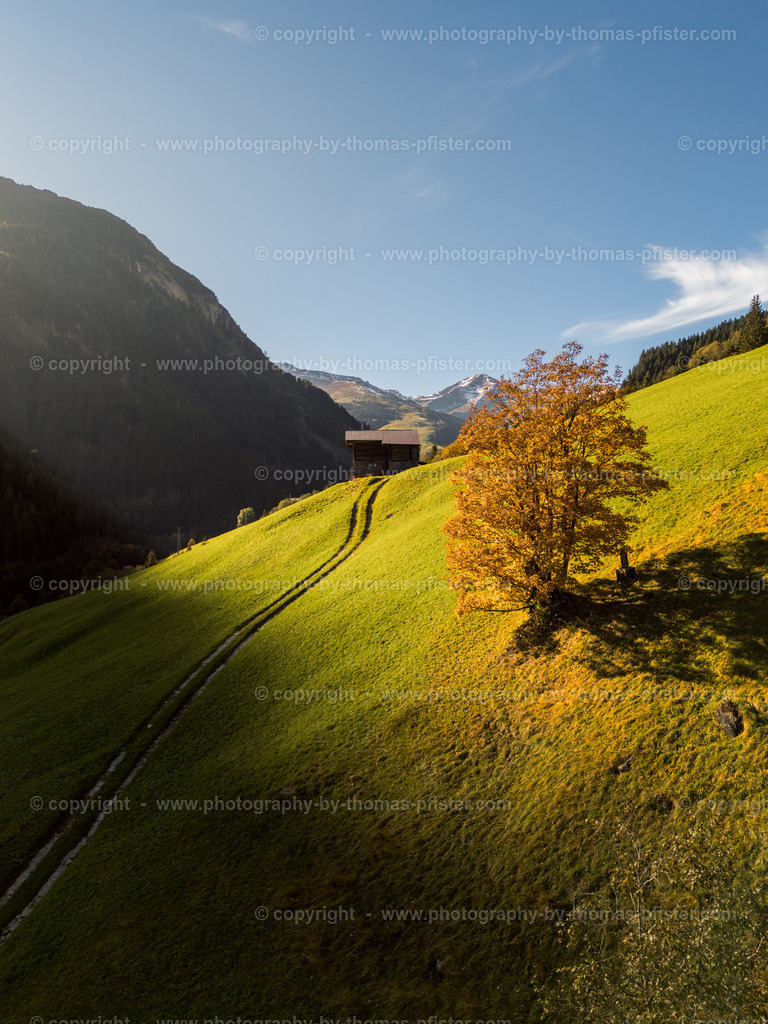 Herbst Tux copyright  Thomas Pfister-1 | PHOTOGRAPHY BY THOMAS PFISTER