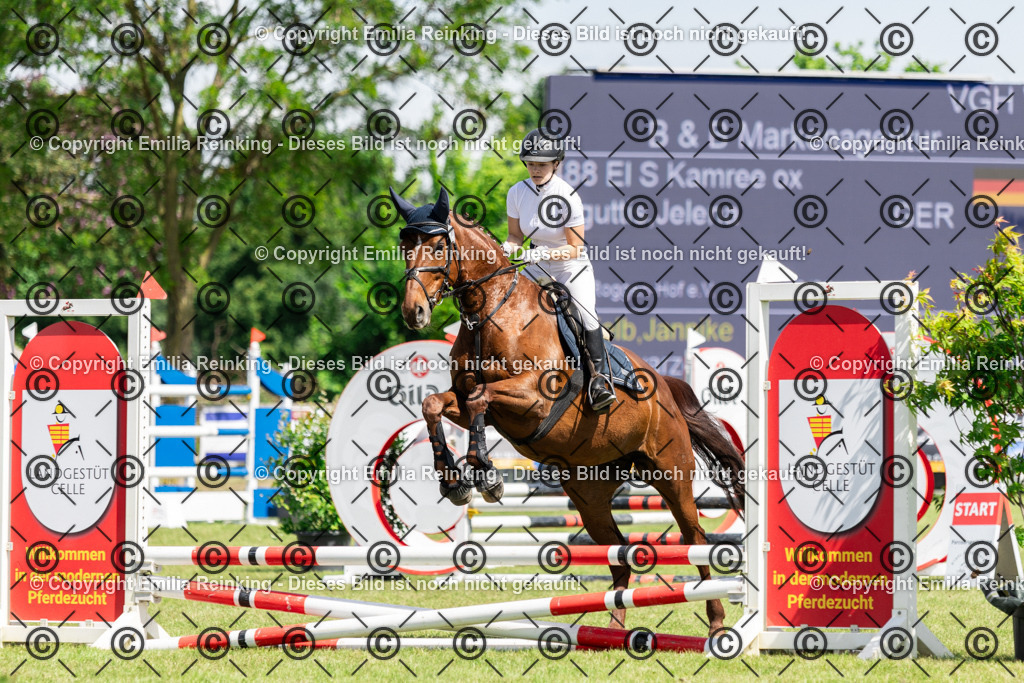 CL5A0080 | Emilia Reinking Fotografie - Realisiert mit Pictrs.com