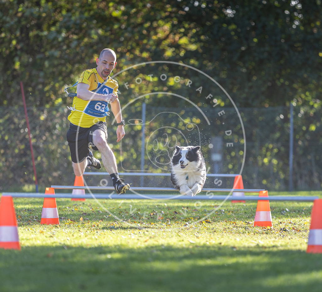 Pfotenfotografie.de_DV3A3183 | Hundefotografie, Tierfotograf, Pfotenfotografie, Fotoshooting Hund, Hunde Portrait, Hundesport, Hundeportraits, Heideshooting, Hunde, Sportfotograf, Hundefotograf, Turnierhundsport, THS, canicross - Realisiert mit Pictrs.com