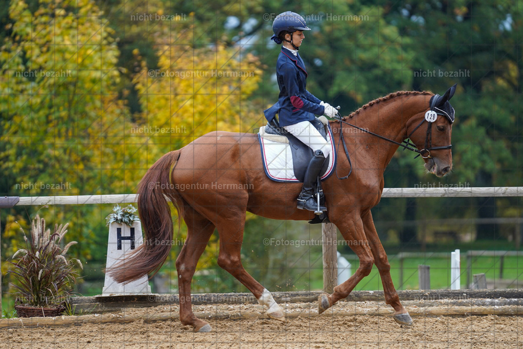20221008-FAH01944 | Diessen am Ammersee, 2022, Dressur- und Springturnier, Reitsportbilder, Turnierfotografen Bayern, Pferdefotografen, Fotoagentur Herrmann, Turnierbilder