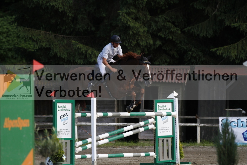 _MG_1139 | equestrian-live-com