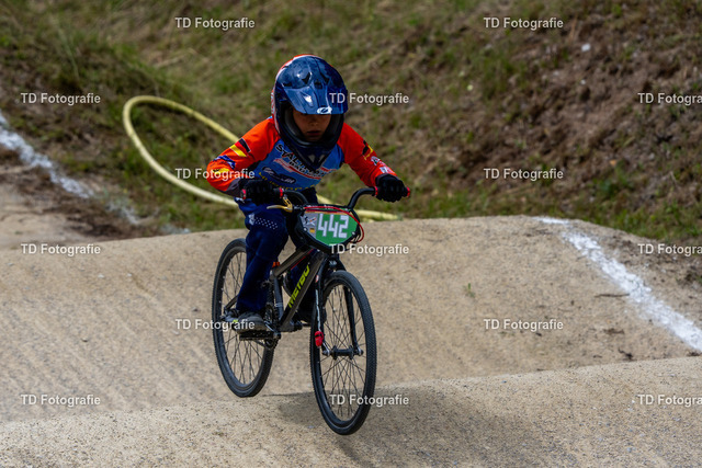 BayBMX2026-05782 | Fotogalerie von Thomas Dettweiler mit Eventbildern und lizenzfreien Fotos. Perfekt als Wandbild, für Büro, Website oder private Nutzung. - Realisiert mit Pictrs.com