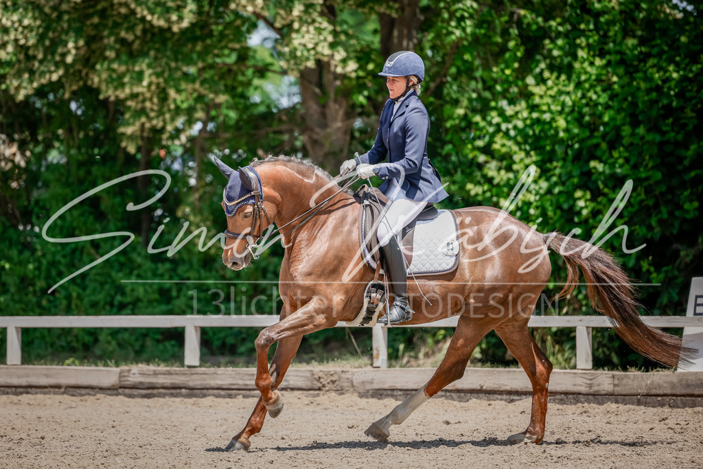 20250621-_3LI7752 | Tierfotografie Pferde, Hunde, Katzen, Haustiere.
Turnierfotografie Reitturniere, Reiten, Springreiten, Dressur in Hanau, dem Main-Kinzig-Kreis und dem Rhein-Main- Gebiet um Frankfurt