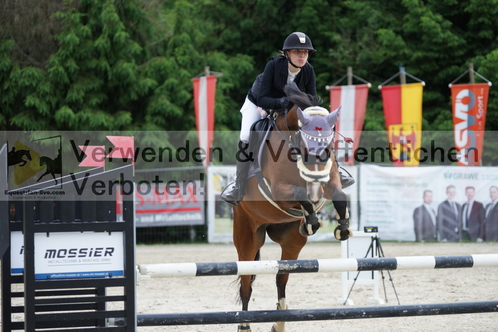 DSC07264 | equestrian-live-com