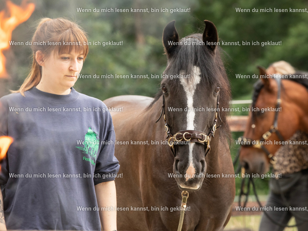 598A6935 | photographylinaismer - Realisiert mit Pictrs.com