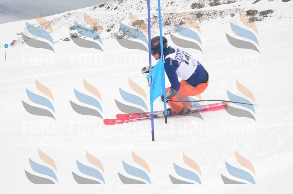 A6247 | holidayphoto