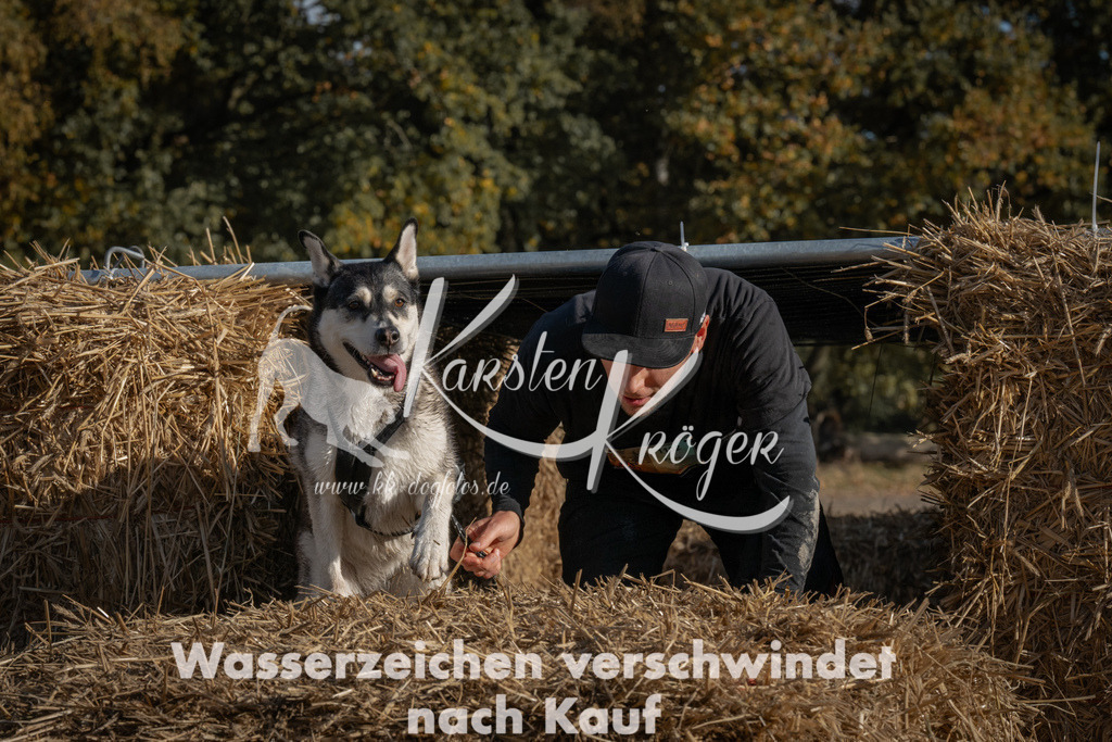 1059_ZZ99758 | kk-dogfotos