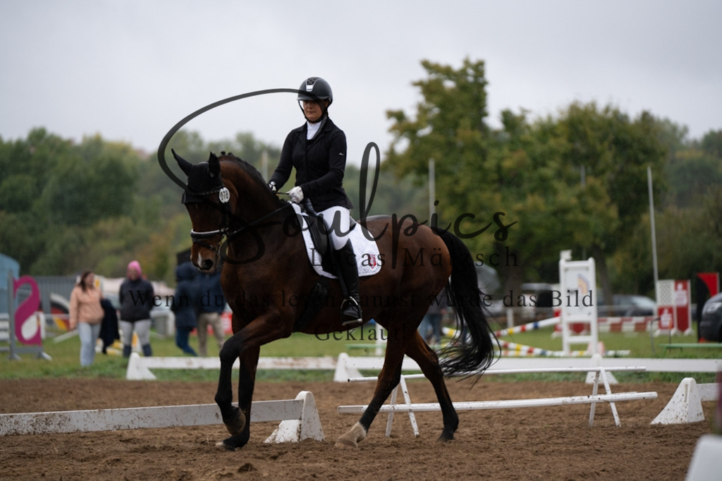 A7V05940 | Pferdefotograf