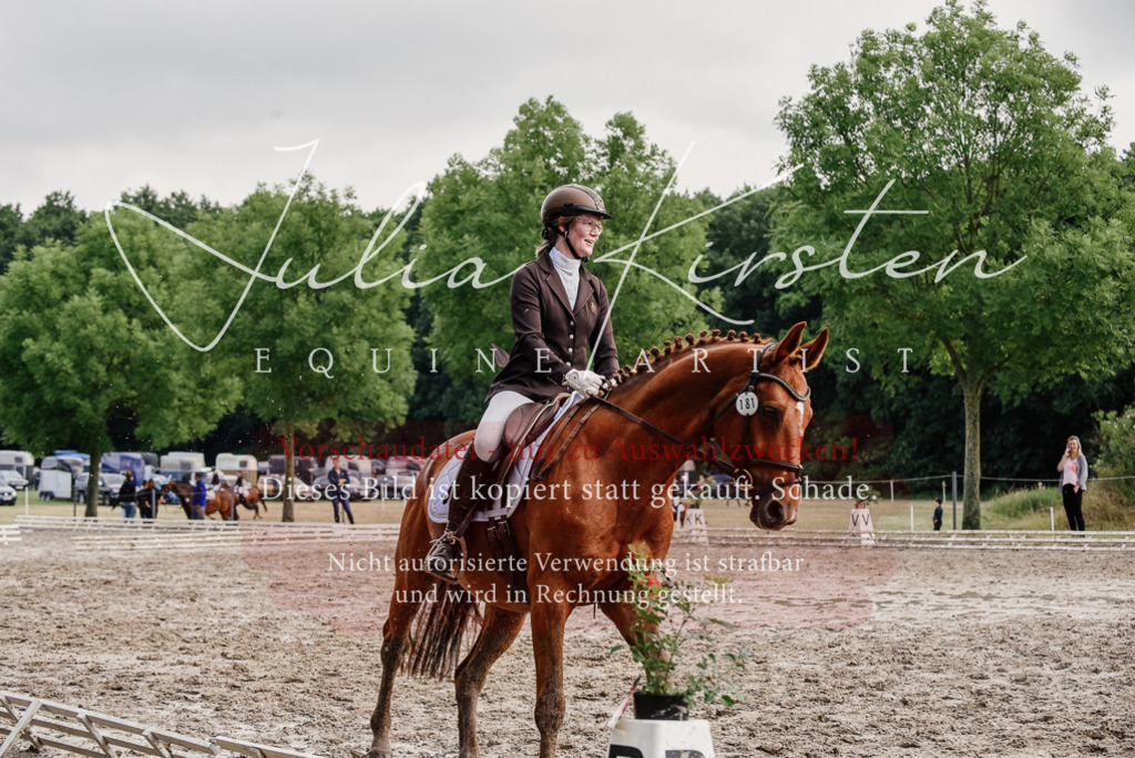 DSC_9699 | Pferde- und Turnierfotografie in Westsachsen. Pferdeportraits, Auftragszeichnungen und intuitive Kunst.