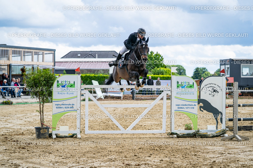 DSC06253 | Pferdegrafie