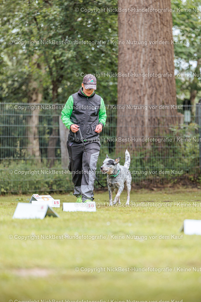 RO-Blumenthal-2026-Nickbest-Hundefotografie-5404 | Dein Hund! Dein Moment! Deine Erinnerungen! Hundefotografie in Bremen Blumenthal. Ich fange die besonderen Momente deines Vierbeiners ein – ob Indoor mit Blitzanlage oder in der freien Natur. Sicher dir dein Moment und dein Termin für eure Erinnerungen.