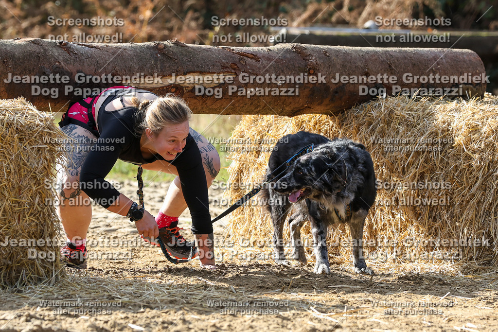 Dog Paparazzi - Strongdog 10-25-5946 | Dog Paparazzi Jeanette Grottendiek Fotografie & Videografie - Realisiert mit Pictrs.com