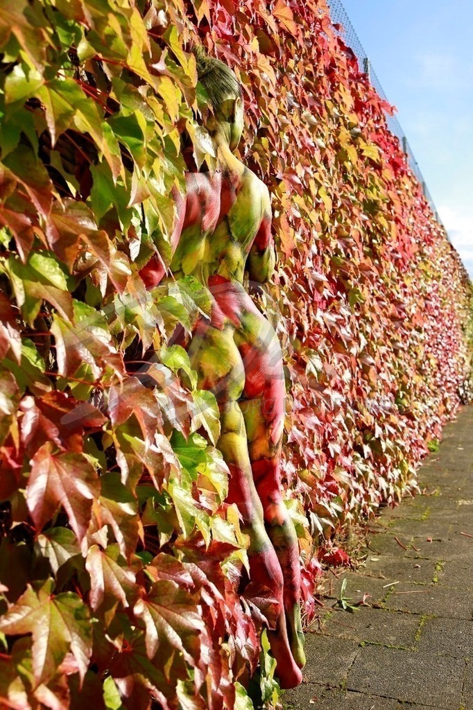 NatureArt-WEINWAND_7305c | Rückenansicht in bunten Blättern | #003 | Modell: Pola | Foto: Aleksandra Marsfelden - Realisiert mit Pictrs.com