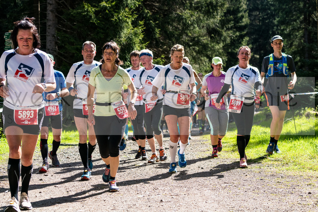 Rennsteiglauf 2019 | Marathon Neuhaus/Rwg. - Schmiedefeld am 18. Mai 2019