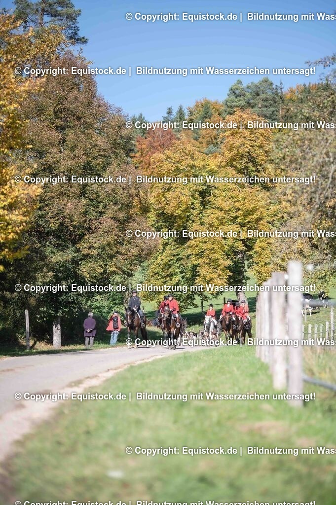 20251011_Jagd-Marbach_0570 | Foto: Thomas Hartig