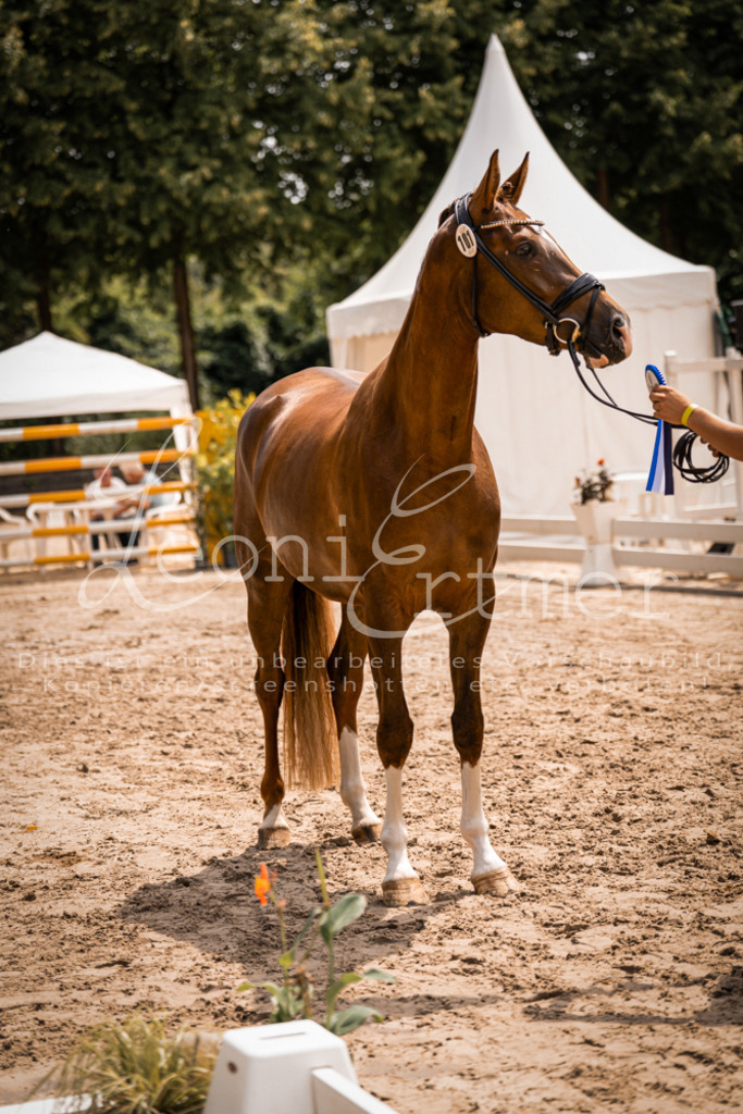 2. Fr00198 | Leoni Ertmer Photography - Realisiert mit Pictrs.com