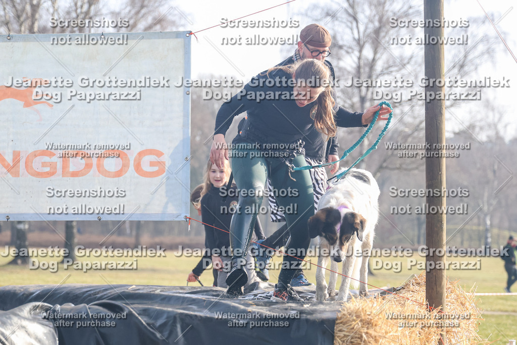 Dog Paparazzi - Strongdog North Mrz26-262 | Dog Paparazzi Jeanette Grottendiek Fotografie & Videografie - Realisiert mit Pictrs.com