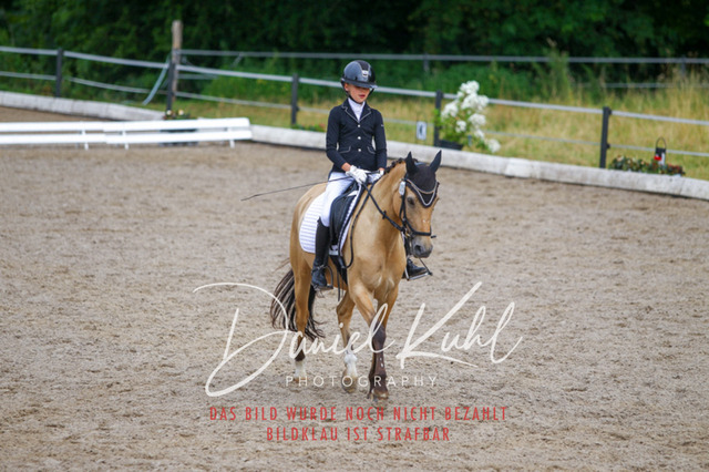 DKP46976 | Turniersportfotografie; Pferdefotografie; Dressurfotografie