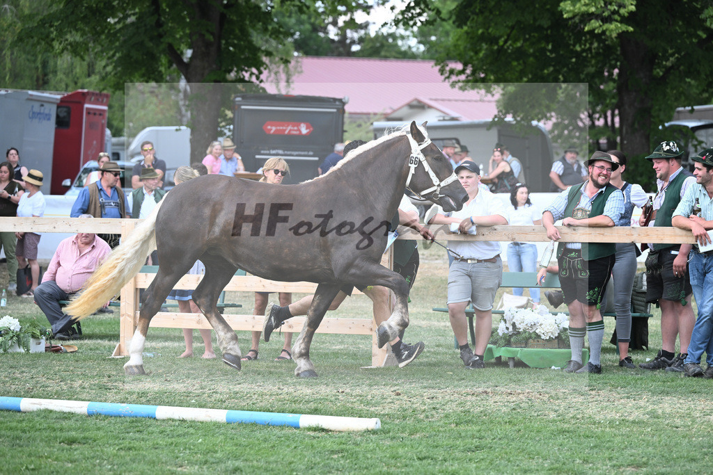 Kat-Nr. 66 Perle_Onnich_20231083 | hf-fotografie - Realisiert mit Pictrs.com