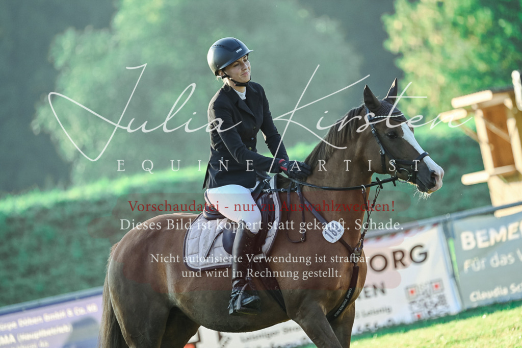 DSC_3999 | Pferde- und Turnierfotografie in Westsachsen. Pferdeportraits, Auftragszeichnungen und intuitive Kunst.