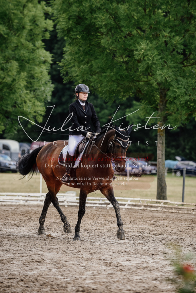 DSC_0752 | Pferde- und Turnierfotografie in Westsachsen. Pferdeportraits, Auftragszeichnungen und intuitive Kunst.
