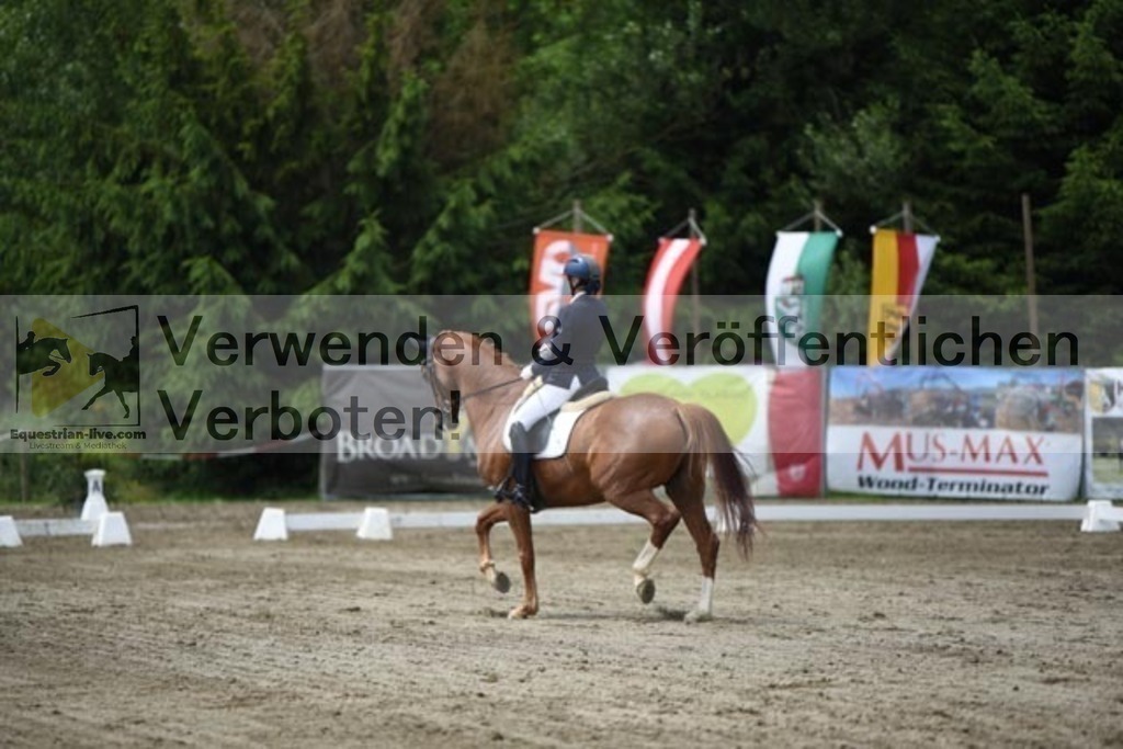 DSC_1893 | equestrian-live-com
