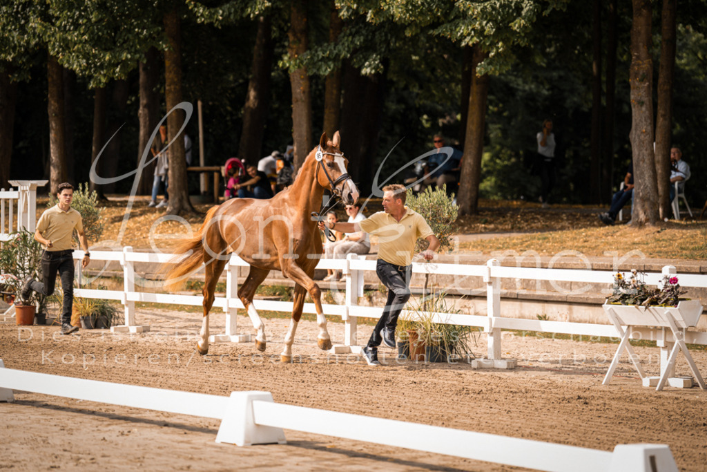 FrER00072 | Leoni Ertmer Photography - Realisiert mit Pictrs.com