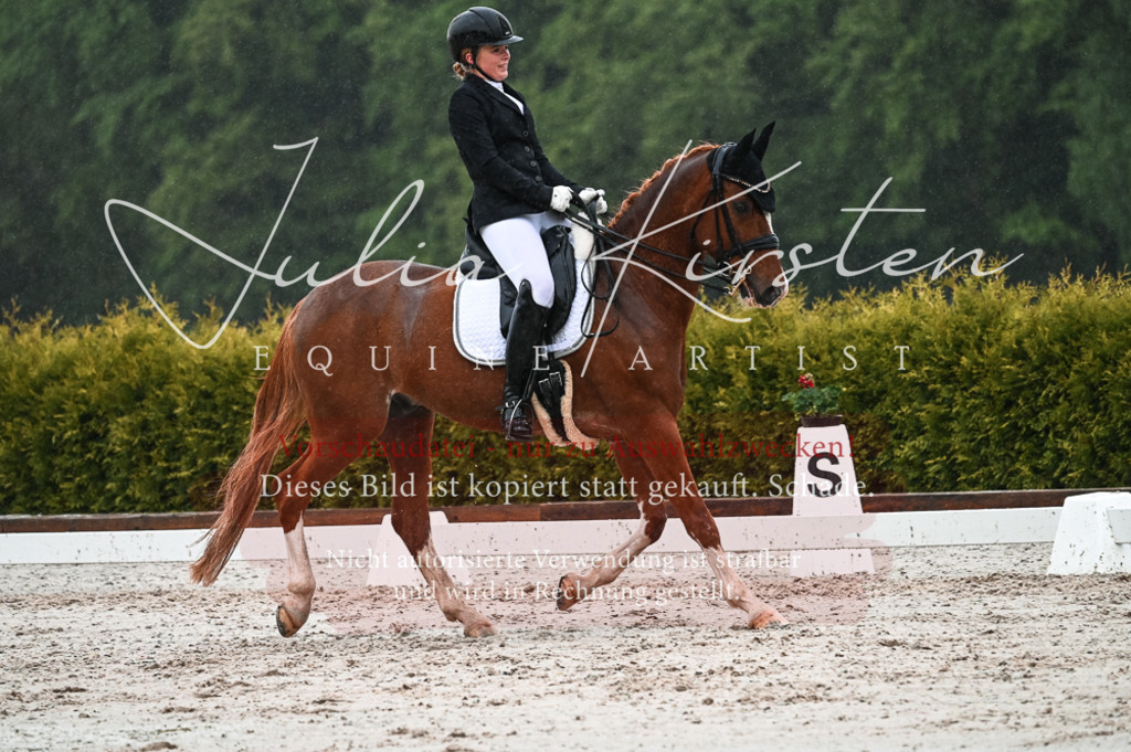 DSC_4621 | Pferde- und Turnierfotografie in Westsachsen. Pferdeportraits, Auftragszeichnungen und intuitive Kunst.