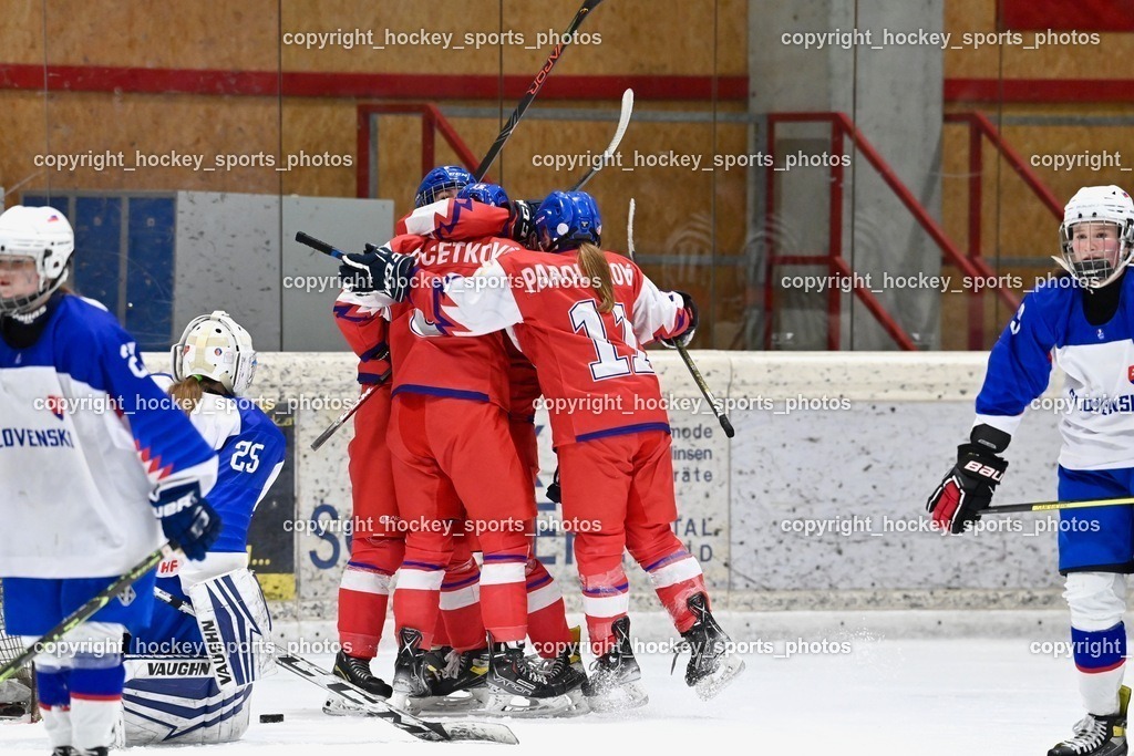 BST_6114 | hockey sports photos, Pressefotos, Sportfotos, hockey247, win 2day icehockeyleague, Handball Austria, Floorball Austria, ÖVV, Kärntner Eishockeyverband, KEHV, KFV, Kärntner Fussballverband, Österreichischer Volleyballverband, Alps Hockey League, ÖFB, 