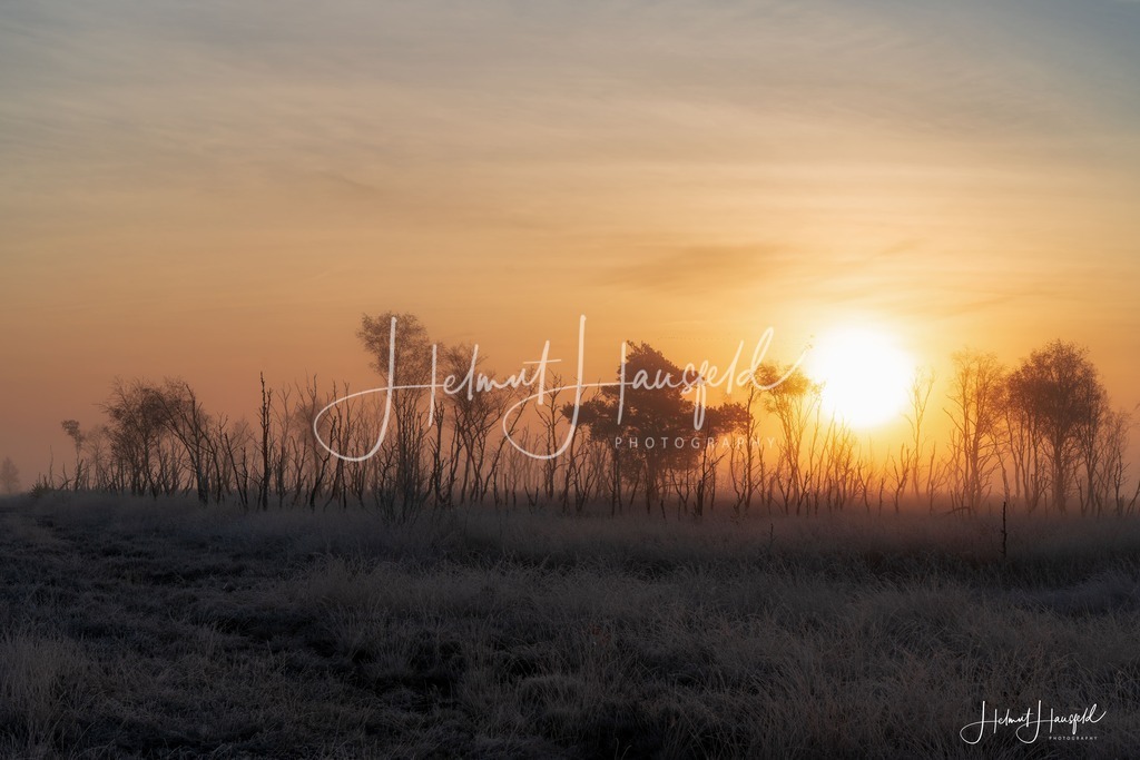 DSC04122 | Landschaftsfotografie, Naturfotografie - Realisiert mit Pictrs.com