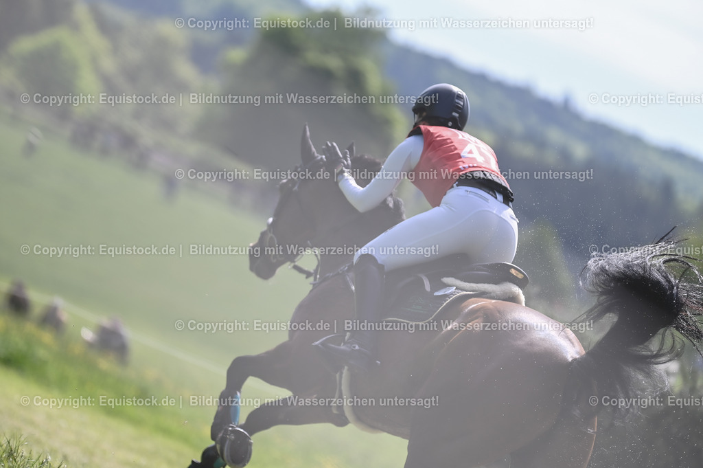 20250517_CCI2_Gelände_1226 | Foto: Thomas Hartig