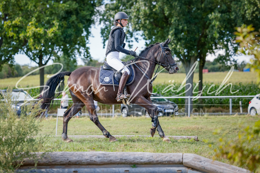 20250905-_3LI1679 | Tierfotografie Pferde, Hunde, Katzen, Haustiere.
Turnierfotografie Reitturniere, Reiten, Springreiten, Dressur in Hanau, dem Main-Kinzig-Kreis und dem Rhein-Main- Gebiet um Frankfurt
