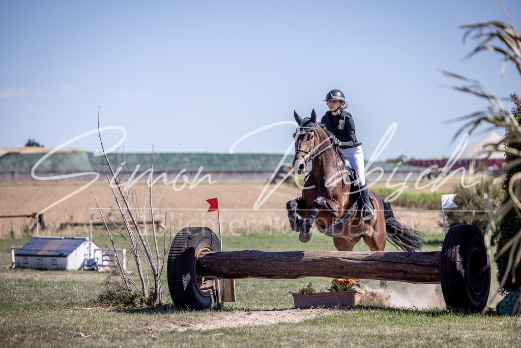 20260906-_3LI4223 | Tierfotografie Pferde, Hunde, Katzen, Haustiere.
Turnierfotografie Reitturniere, Reiten, Springreiten, Dressur in Hanau, dem Main-Kinzig-Kreis und dem Rhein-Main- Gebiet um Frankfurt
